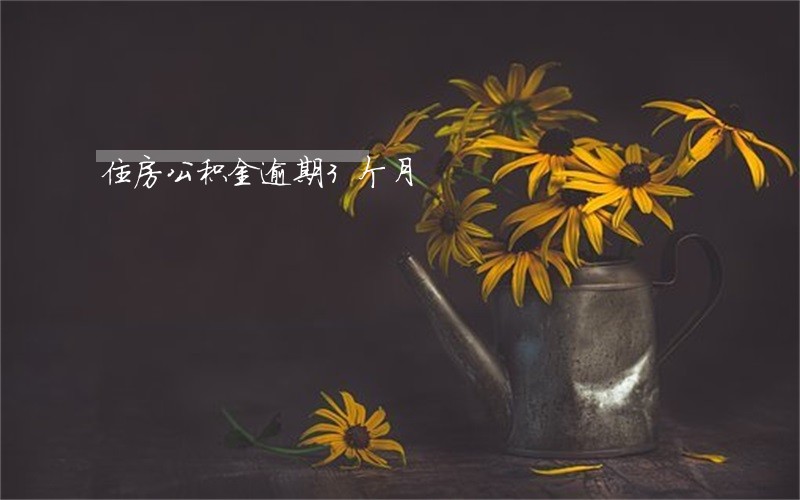 住房公积金逾期3个月 住房公积金逾期3个月