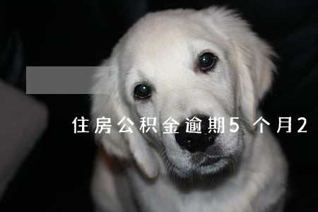 住房公积金逾期5个月25元