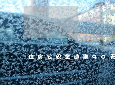 住房公积金逾期90天 住房公积金逾期90天