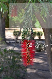 住房公积金逾期9次 住房公积金逾期9次