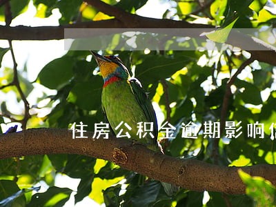 住房公积金逾期影响信用吗 住房公积金逾期影响信用吗