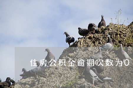 住房公积金逾期次数为0 住房公积金逾期次数为0