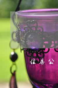 住房公积金逾期记录超6次