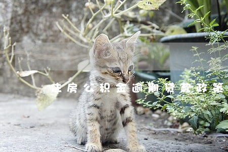 住房公积金逾期贷款政策解读 住房公积金逾期贷款政策解读