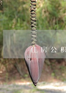 住房公积金逾期贷款逾期率