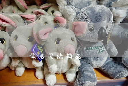住房司法拍卖 住房司法拍卖