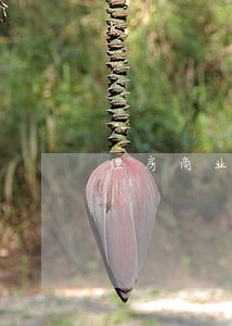 住房商业贷款 住房商业贷款