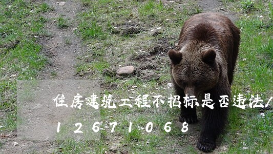 住房建筑工程不招标是否违法/2023012671068 住房建筑工程不招标是否违法/2023012671068