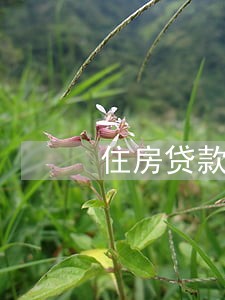 住房贷款5年内4次逾期能房贷吗 住房贷款5年内4次逾期能房贷吗