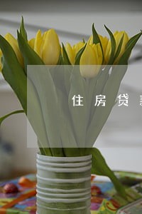 住房贷款一天也算逾期 住房贷款一天也算逾期