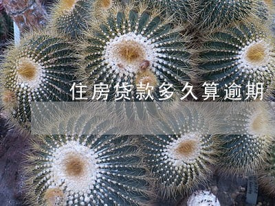 住房贷款多久算逾期 住房贷款多久算逾期
