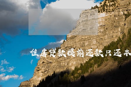 住房贷款提前还款只还本金 住房贷款提前还款只还本金