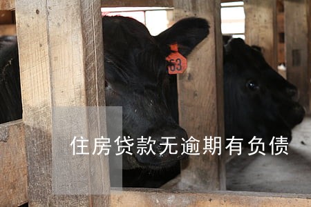 住房贷款无逾期有负债 住房贷款无逾期有负债