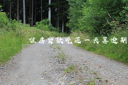 住房贷款晚还一天算逾期吗 住房贷款晚还一天算逾期吗