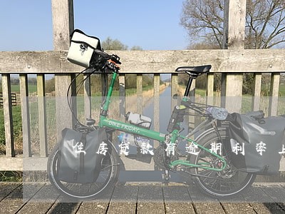 住房贷款有逾期利率上调吗