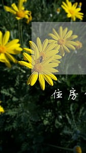 住房贷款第一个月逾期 住房贷款第一个月逾期