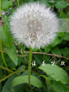 住房贷款第二天还算逾期吗 住房贷款第二天还算逾期吗