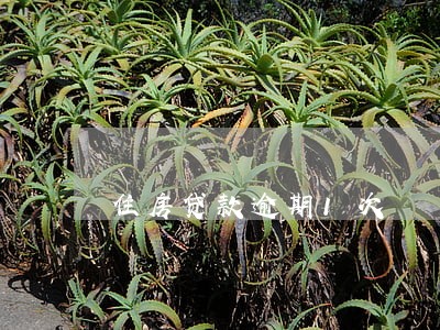 住房贷款逾期1次 住房贷款逾期1次