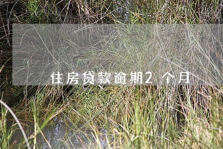 住房贷款逾期2个月 住房贷款逾期2个月