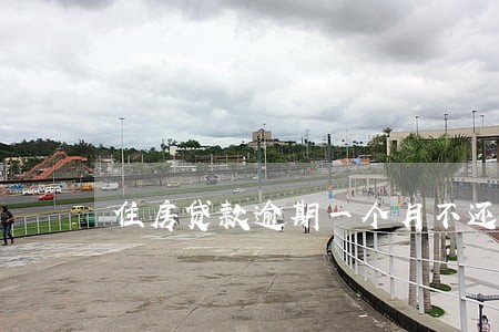 住房贷款逾期一个月不还款 住房贷款逾期一个月不还款