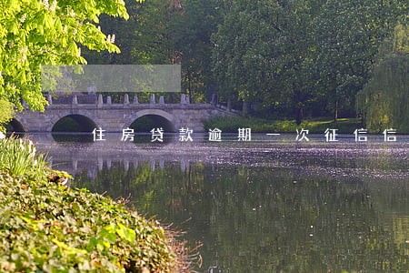 住房贷款逾期一次征信信息 住房贷款逾期一次征信信息