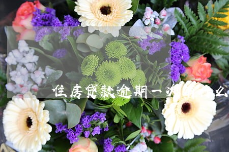 住房贷款逾期一次有什么影响 住房贷款逾期一次有什么影响