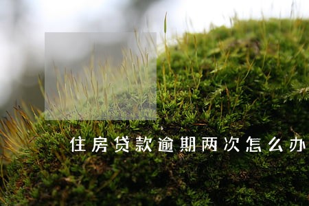 住房贷款逾期两次怎么办 住房贷款逾期两次怎么办