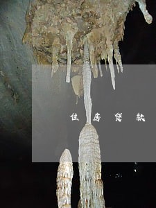住房贷款逾期催收通知书模板 住房贷款逾期催收通知书模板