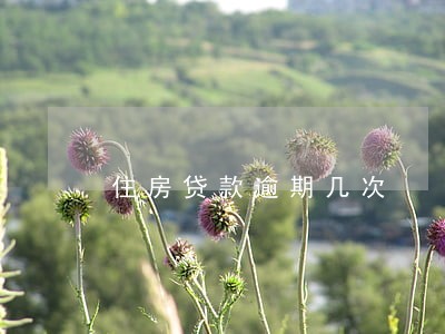 住房贷款逾期几次 住房贷款逾期几次