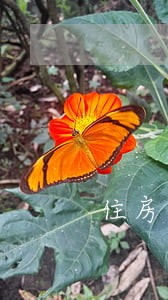 住房贷款逾期原因 住房贷款逾期原因