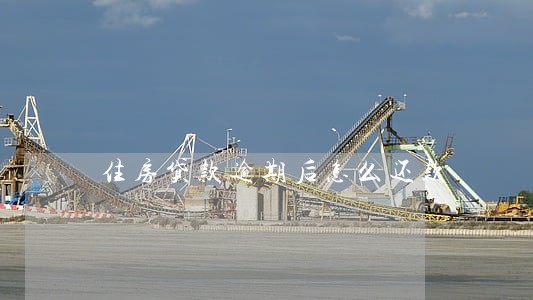 住房贷款逾期后怎么还款 住房贷款逾期后怎么还款