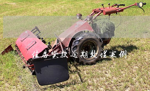 住房贷款逾期处理案例 住房贷款逾期处理案例