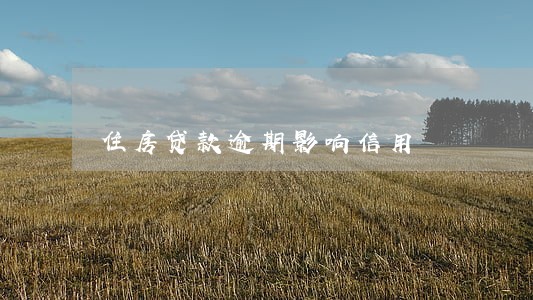 住房贷款逾期影响信用 住房贷款逾期影响信用