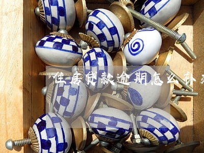 住房贷款逾期怎么补交 住房贷款逾期怎么补交