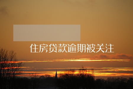 住房贷款逾期被关注 住房贷款逾期被关注