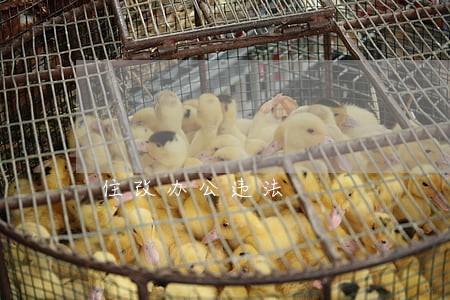 住改办公违法 住改办公违法