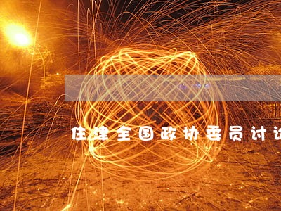 住津全国政协委员讨论民法典草案 住津全国政协委员讨论民法典草案