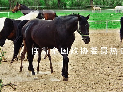 住浙全国政协委员热议民法典草案 住浙全国政协委员热议民法典草案