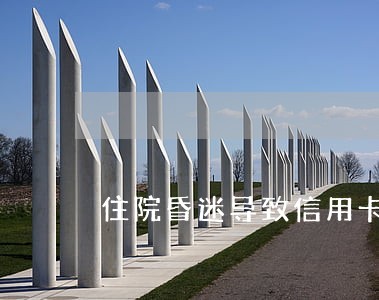 住院昏迷导致信用卡逾期 住院昏迷导致信用卡逾期