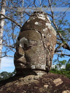 住院费用逾期4天会不会上征信 住院费用逾期4天会不会上征信