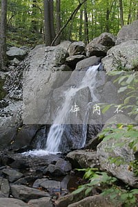体内不含酒精或违法药品 体内不含酒精或违法药品