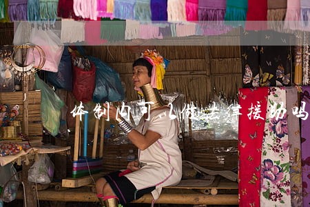 体制内可以做法律援助吗 体制内可以做法律援助吗