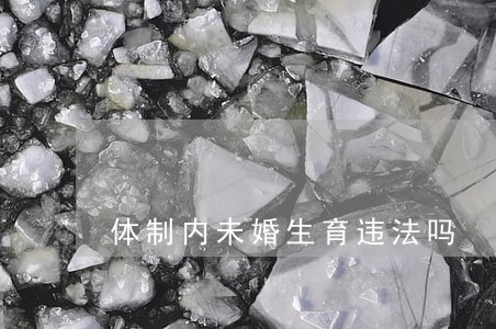 体制内未婚生育违法吗 体制内未婚生育违法吗