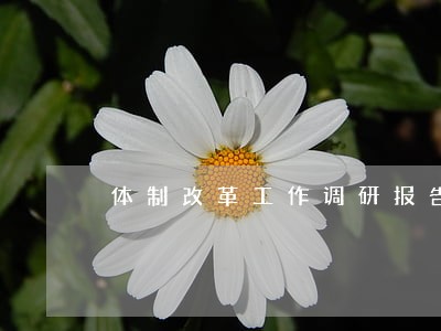 体制改革工作调研报告 体制改革工作调研报告