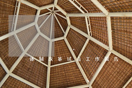 体制改革试点工作报告 体制改革试点工作报告