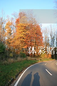 体彩赌球不违法吗