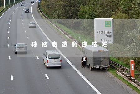 体检表造假违法吗 体检表造假违法吗