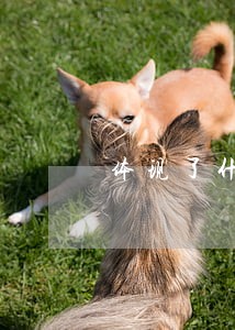 体现了什么法律思想 体现了什么法律思想