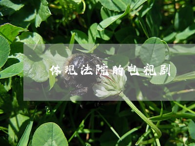 体现法院的电视剧 体现法院的电视剧