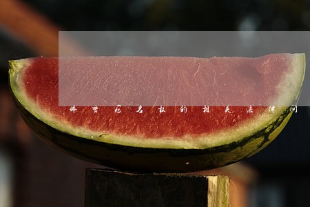 体育冠名权的相关法律问题研究